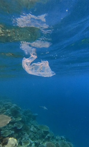 plastic ocea.jpg
