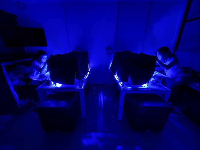 Experimental setting for Project ASSIST, photo by Joseph Henry- Triton Society.jpg
