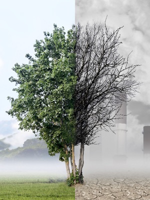 Eco-anxiety: the rising emotional toll of climate change
