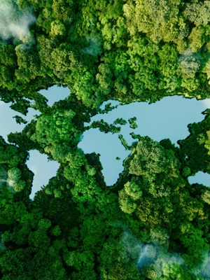 The urgency of climate change: Impacts on human life and corporate responsibility