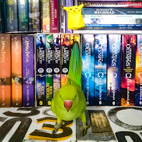 The Reader